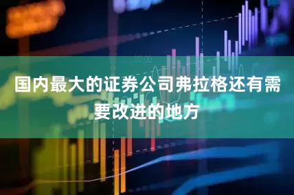 国内最大的证券公司弗拉格还有需要改进的地方